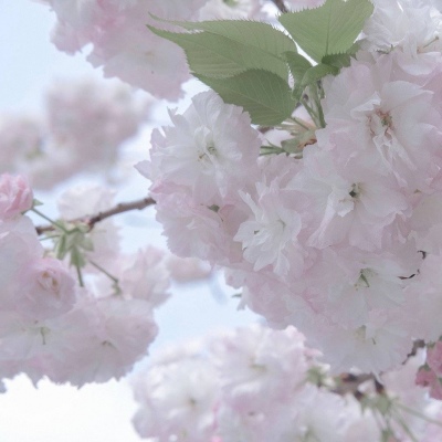 Furry插画风格探索思路兽圈社群